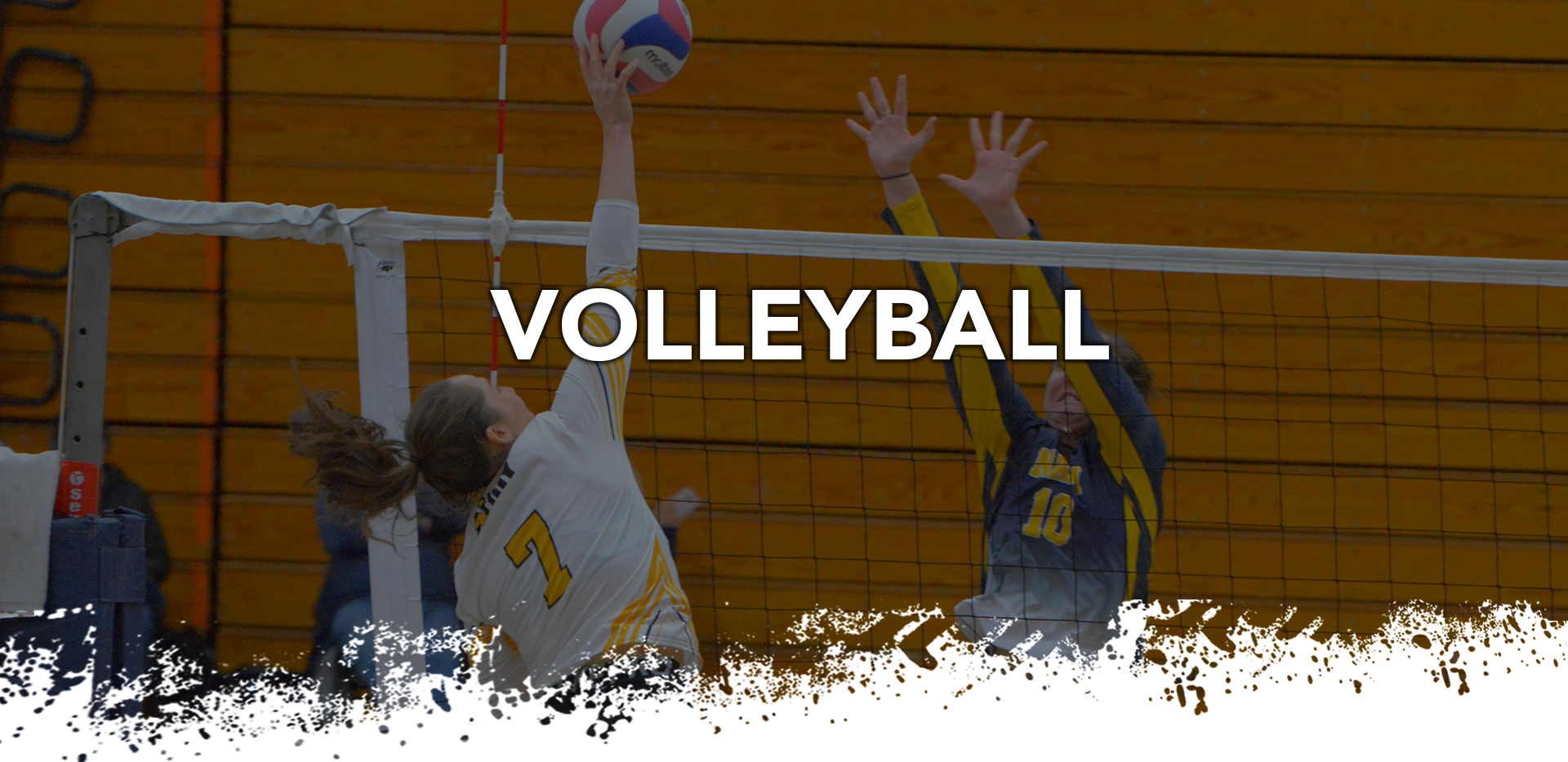 AAS Volleyball Header